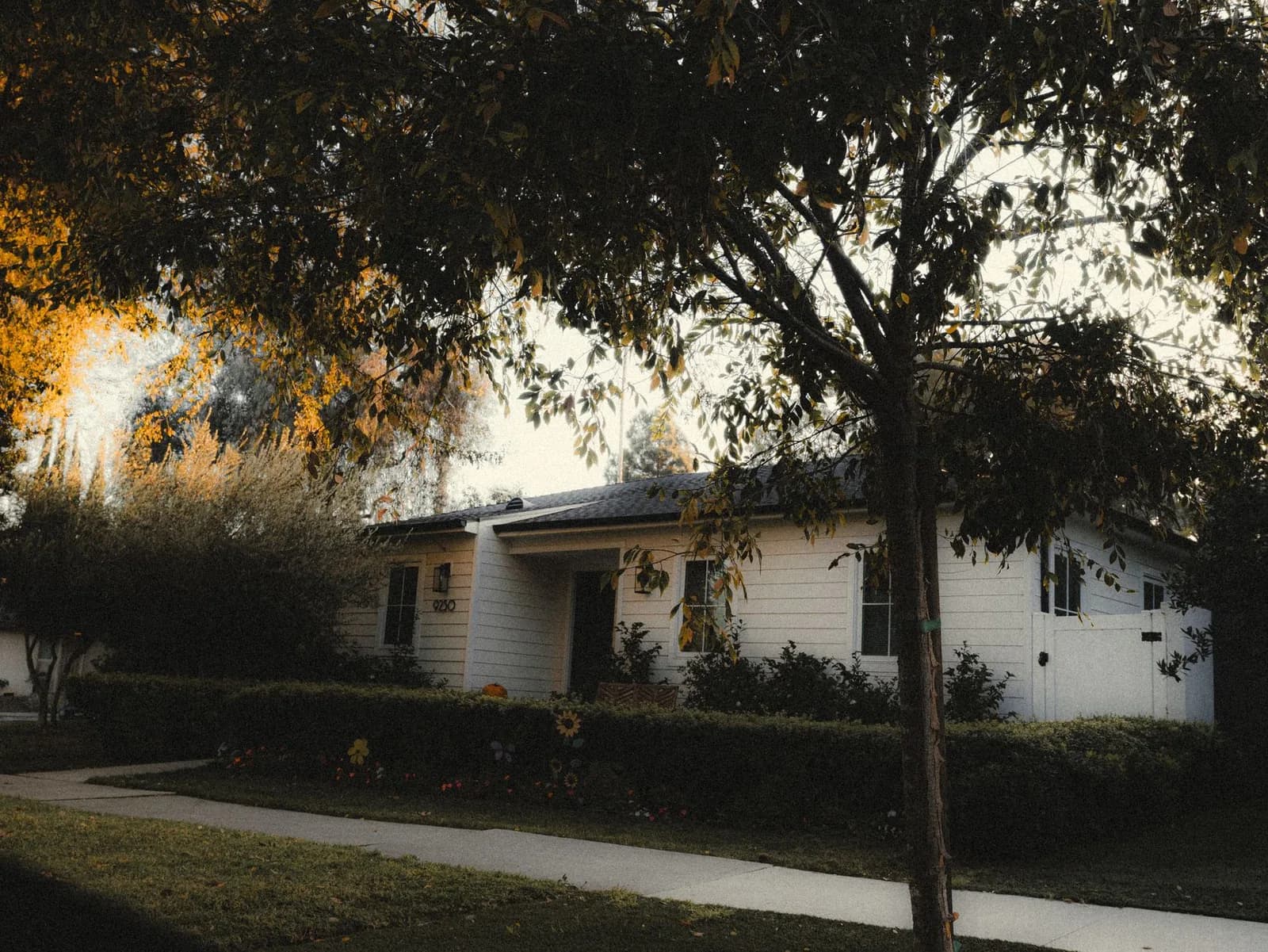 Charming white suburban home with lush greenery and fall colors in Los Angeles.