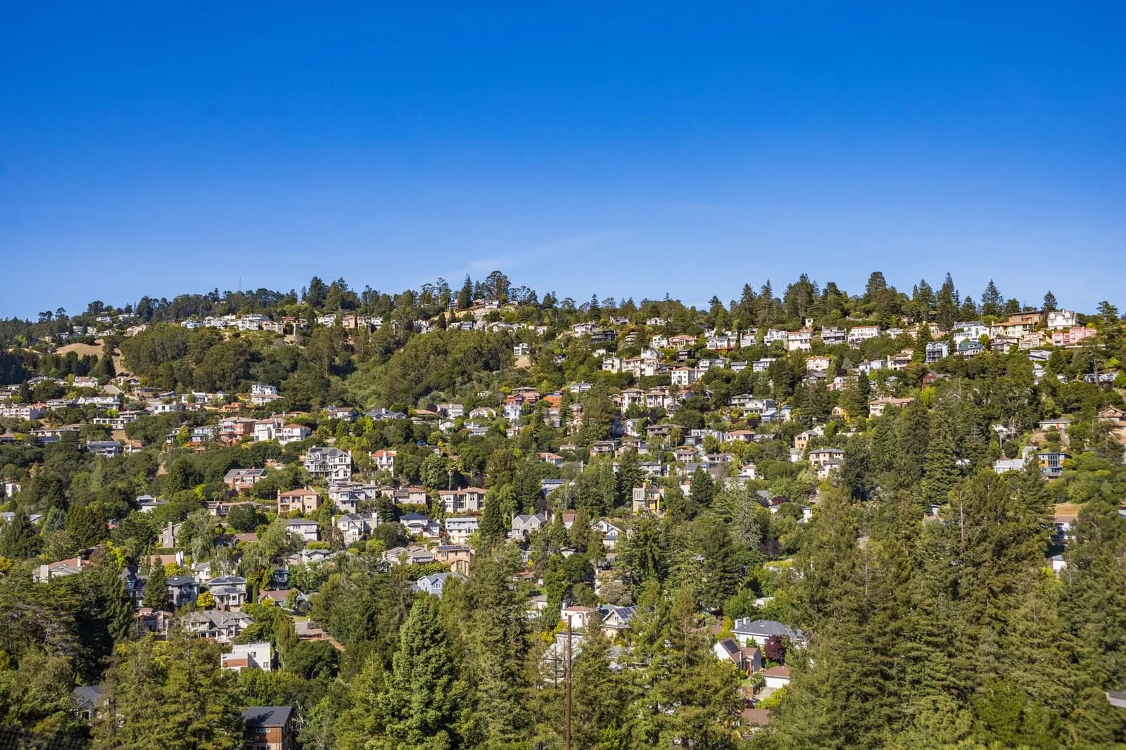 A scenic aerial view of a lush residential area on a hillside under clear blue skies.